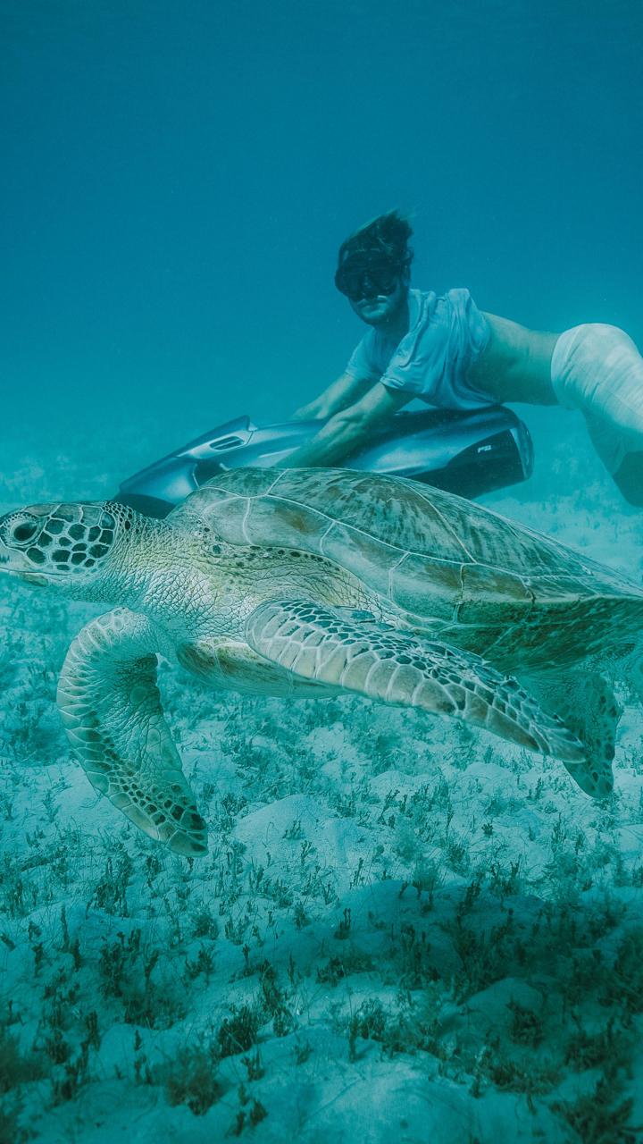 Modern villa exterior